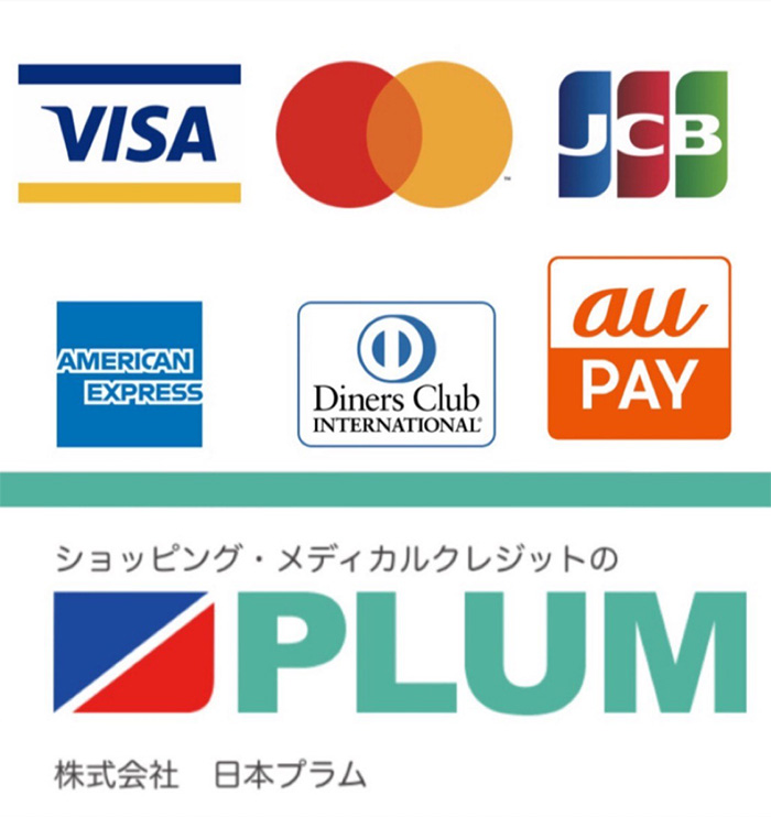 VISA, Mastercard, JCB, AMERICAN EXPRESS, Diners Club international, au PAY, 株式会社日本プラム