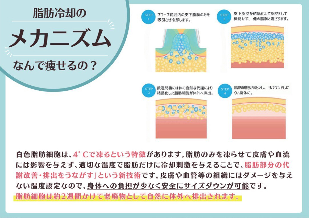 脂肪冷却のメカニズム