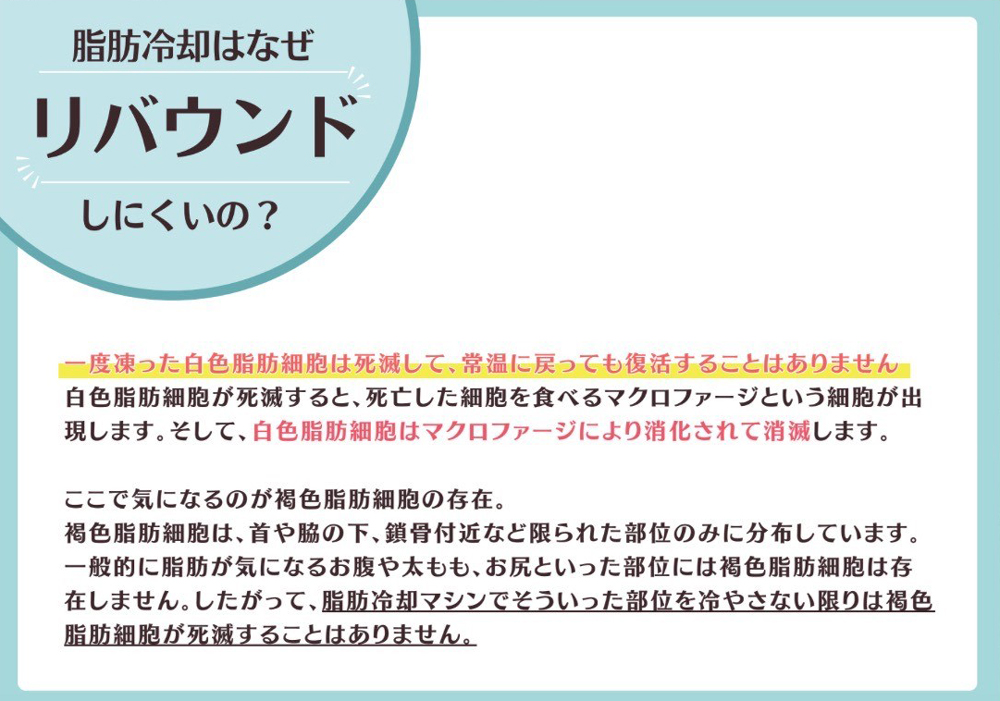 脂肪冷却はなぜリバウンドしにくいの？